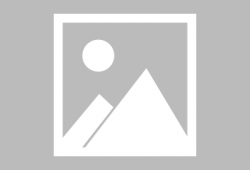 俞晓冬,探索创新与变革的领军人物