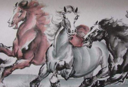 马与马交配视频,一场自然交配的温馨瞬间