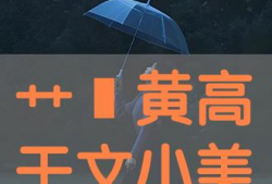 艹比视频,揭秘网络热梗背后的文化现象